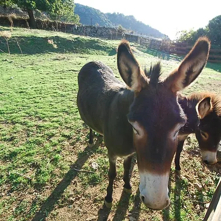 Casa Sol Location De Independante A Moins De 2km *